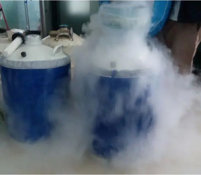 西安液氮市場價 液氮的產品供應鏈